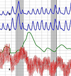 polygraph test in Houston